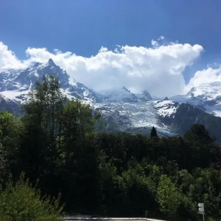 Studio Chamonix-Mont-Blanc, 1 pièce, 4 personnes - FR-1-507-20 Appartement