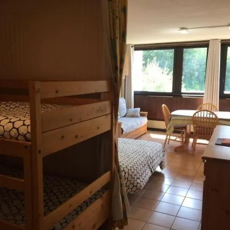 Studio Chamonix-Mont-Blanc, 1 pièce, 4 personnes - FR-1-507-20